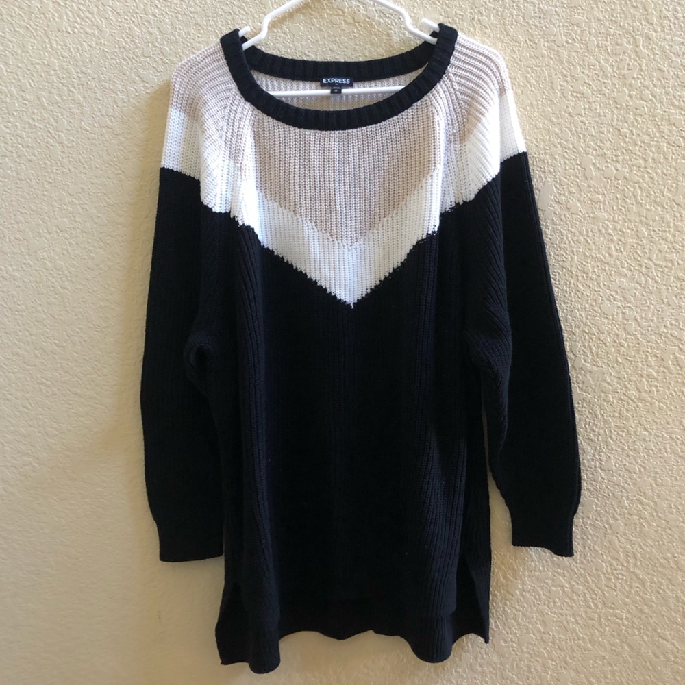 Express Knit Sweater